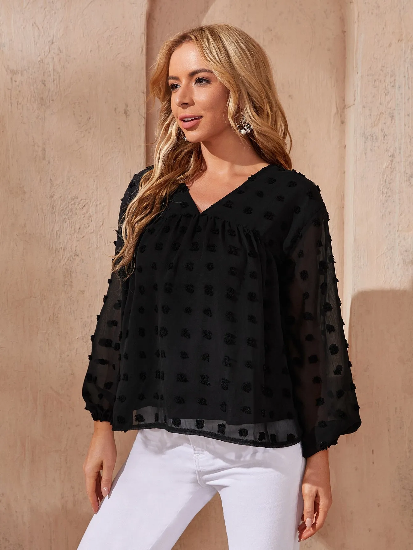 Elegant Plain Long Sleeve V Neck Semi-Sheer Regular Blouse