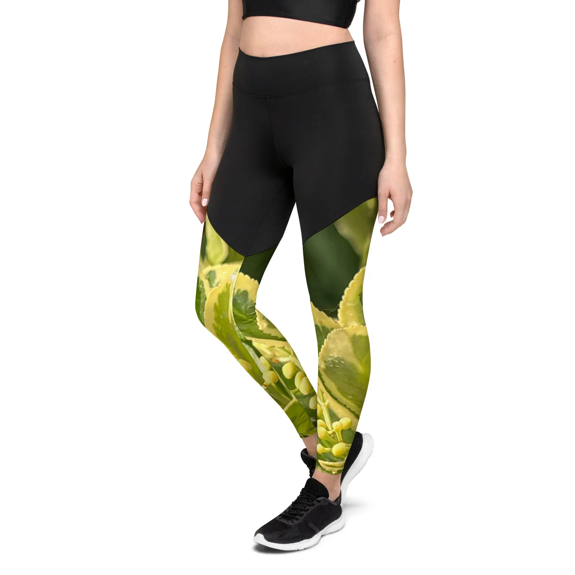 Sports Leggings