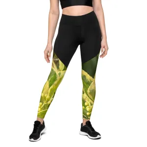 Sports Leggings