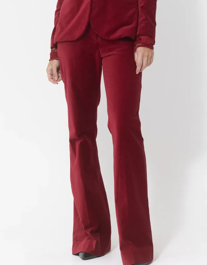 Velvet Bootleg Pant Ruby