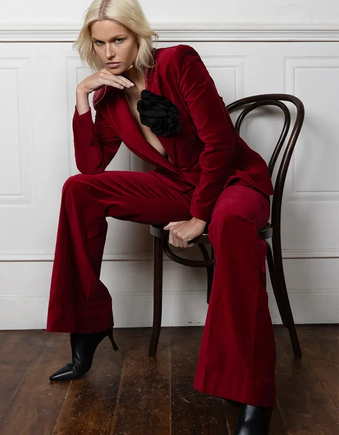 Velvet Bootleg Pant Ruby